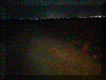 20220329_1.gif (31784 bytes)