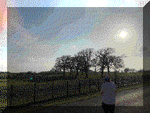 20220412_1.gif (36470 bytes)