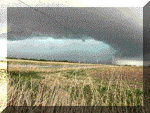 20220423_1.gif (54075 bytes)