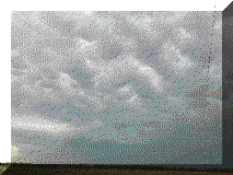 20230402_1.gif (24136 bytes)