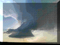 20230617_1.gif (32317 bytes)